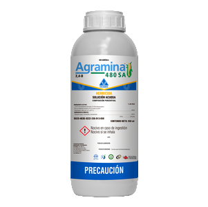 AGRAMINA