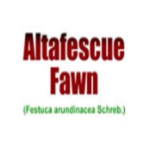 ALTA FESCU