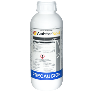 AMISTAR GOLD