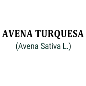 AVENA TURQUESA