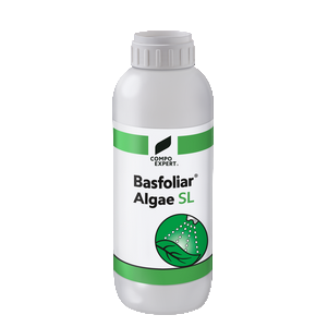 BASFOLIAR ALGAE