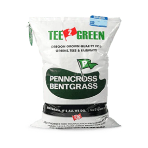 PENNCROSS BENTGRASS