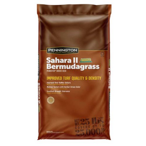 BERMUDA SAHARA II  11.34KG
