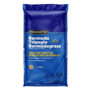 BERMUDA TRIANGLE