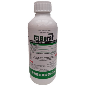 BORAL