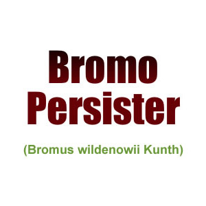 BROMO PERSISTER