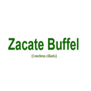 BUFFEL COMUN NACIONAL