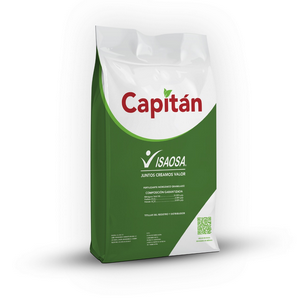 CAPITÁN