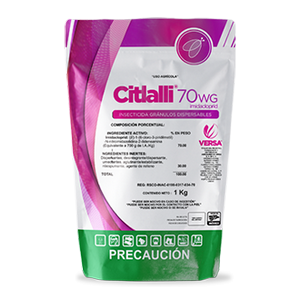 CITLALLI 70WG