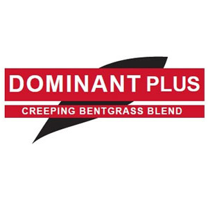 CREEPING BENTGRASS DOMINANT PL