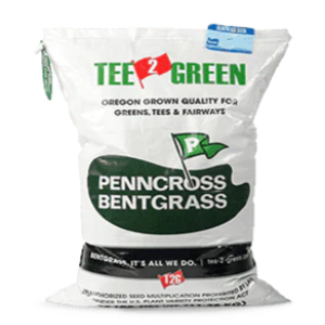 CREEPING BENTGRASS PENNCROSS