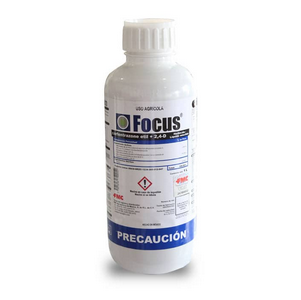 FOCUS