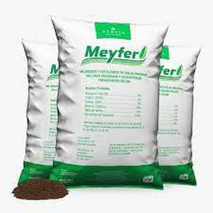 GALLINAZA MEYFER
