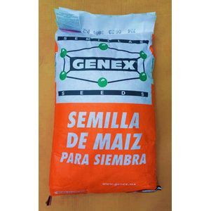 MAIZ GENEX 724