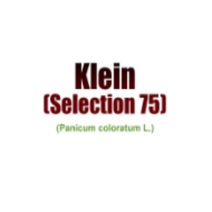 KLEIN SELECCION 75