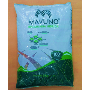 MAVUNO
