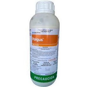 PALGUS 1 LTO