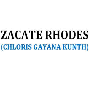 PASTO RHODES