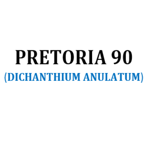 PRETORIA