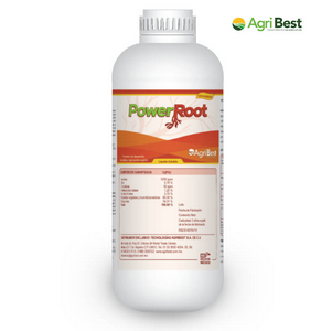 ROOT POWER