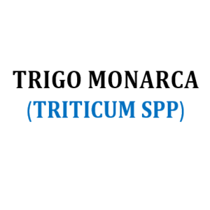 SEM. TRIGO MONARCA