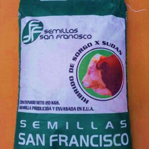 SORGO X SUDAN SF SIROCO