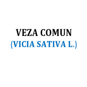 VEZA COMUN