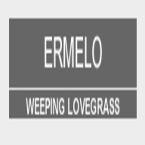 WIPPING LOVEGRASS ERMELO